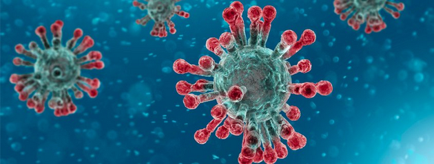 Coronavirus : la peur s’installe en Haïti